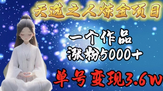 天选之人炼金项目，一个作品涨粉5000+，单号变现3.6w-副业宝典