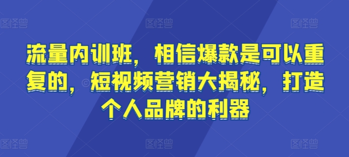 流量内训班，相信爆款是可以重复的，短视频营销大揭秘，打造个人品牌的利器-副业宝典