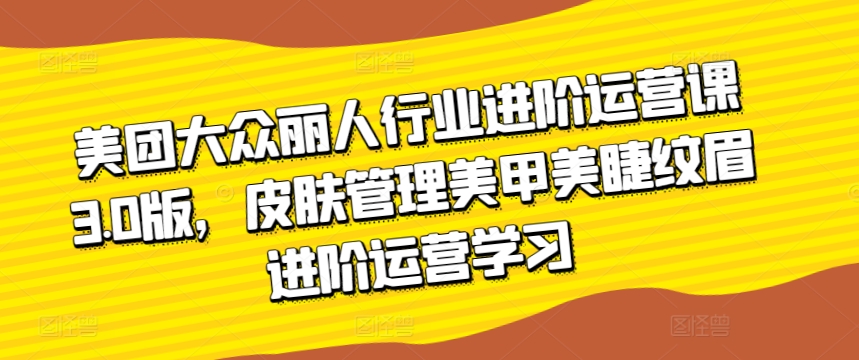 美团大众丽人行业进阶运营课3.0版，皮肤管理美甲美睫纹眉进阶运营学习-副业宝典