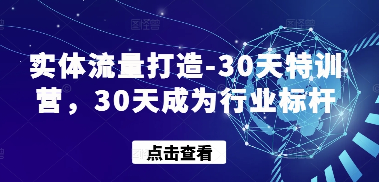 实体流量打造-30天特训营，30天成为行业标杆-副业宝典