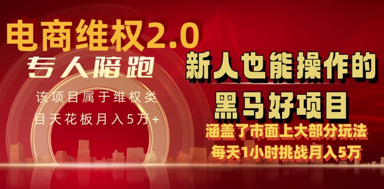 电商维权 4.0 如何做到月入 5 万+每天 1 小时新人也能快速上手【仅揭秘】-副业宝典