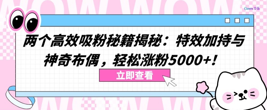 两个高效吸粉秘籍揭秘：特效加持与神奇布偶，轻松涨粉5000+-副业宝典