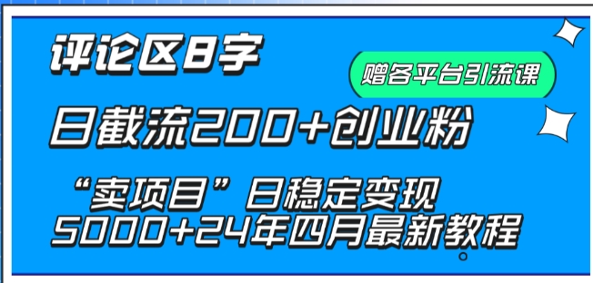 抖音评论区8字日截流200+创业粉 “卖项目”日稳定变现5000+-副业宝典