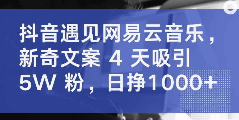 抖音遇见网易云音乐，新奇文案 4 天吸引 5W 粉，日挣1000+-副业宝典