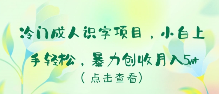 冷门成人识字项目，小白上手轻松，暴力创收月入5w+-副业宝典