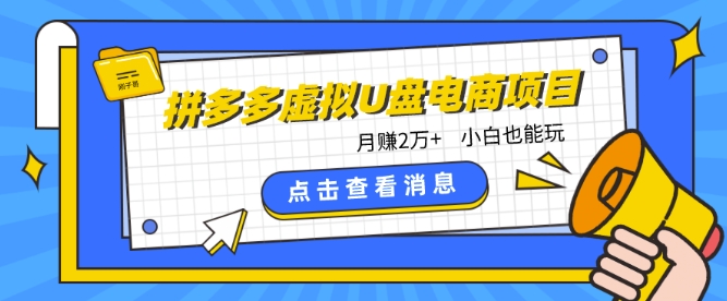 拼多多虚拟U盘电商红利项目：月赚2万+，新手小白也能玩-副业宝典