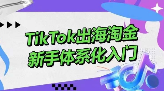 TikTok出海淘金，新手体系化入门，零基础快速入门，掌握短视频、直播带货等引流到变现的知识-副业宝典