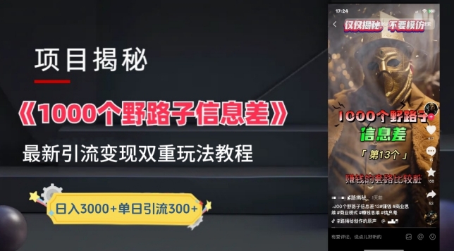 一千个野路子信息差最新玩法教程-变现+引流的玩法具体拆解-副业宝典