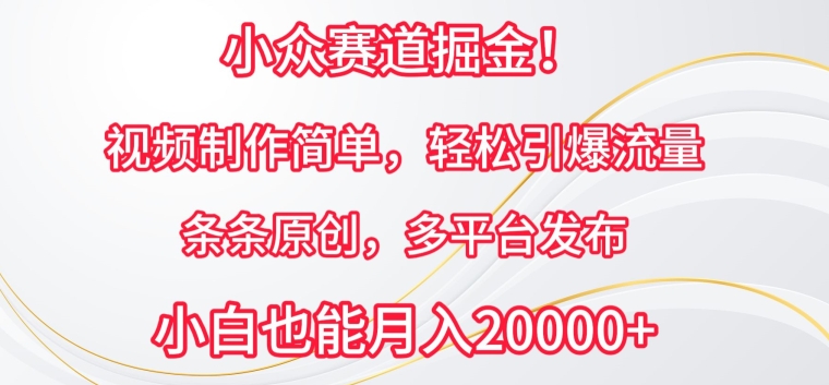 小众赛道掘金，视频制作简单，轻松引爆流量，条条原创，多平台发布-副业宝典