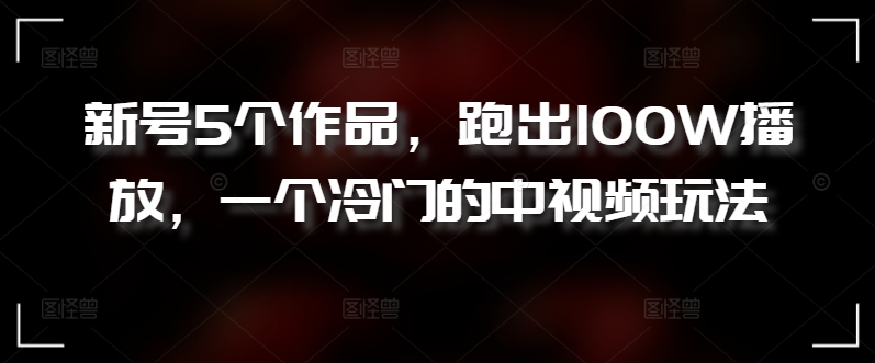 新号5个作品，跑出100W播放，一个冷门的中视频玩法-副业宝典