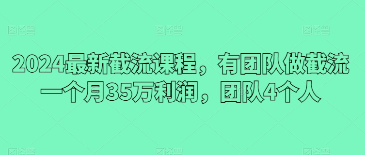 2024最新截流课程，有团队做截流一个月35万利润，团队4个人-副业宝典