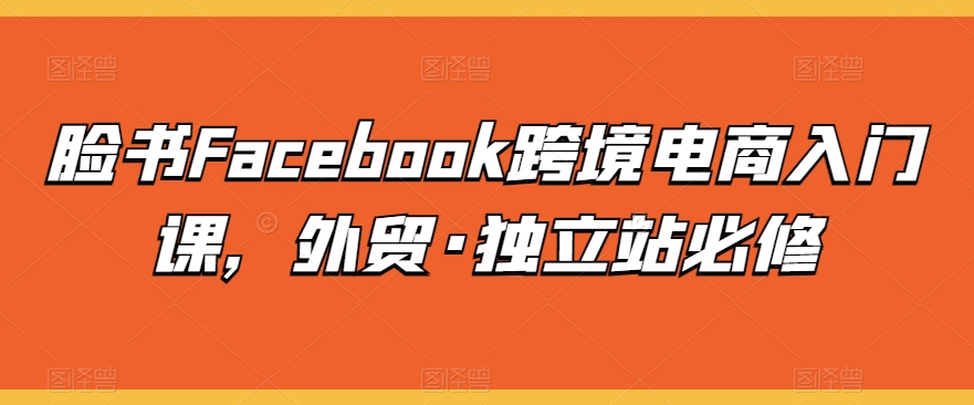 脸书Facebook跨境电商入门课，外贸·独立站必修-副业宝典