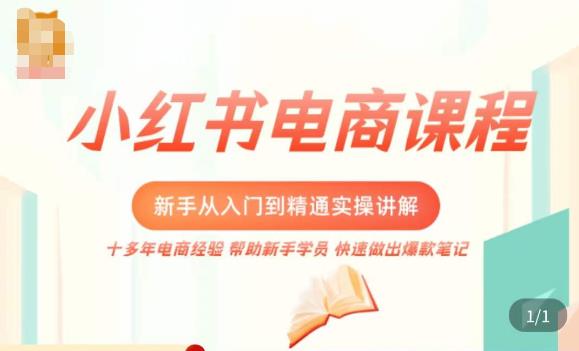 小红书电商新手入门到精通实操课，从入门到精通做爆款笔记，开店运营-副业宝典