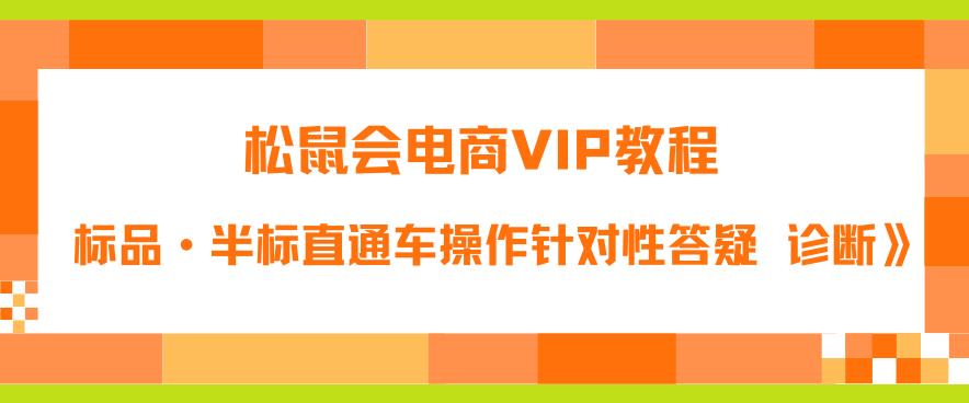 松鼠会电商VIP教程：松鼠《付费推广标品·半标直通车操作针对性答疑&诊断》-副业宝典