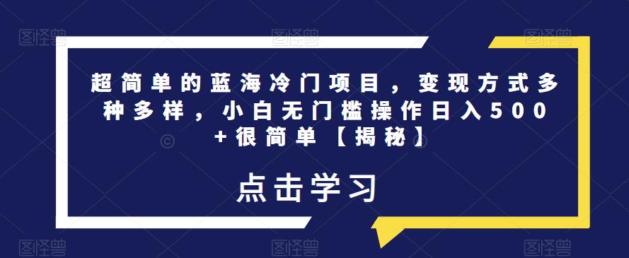 超简单的蓝海冷门项目，变现方式多种多样，小白无门槛操作日入500+很简单【揭秘】-副业宝典