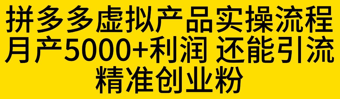 拼多多虚拟产品实操流程，月产5000+利润，还能引流精准创业粉【揭秘】-副业宝典