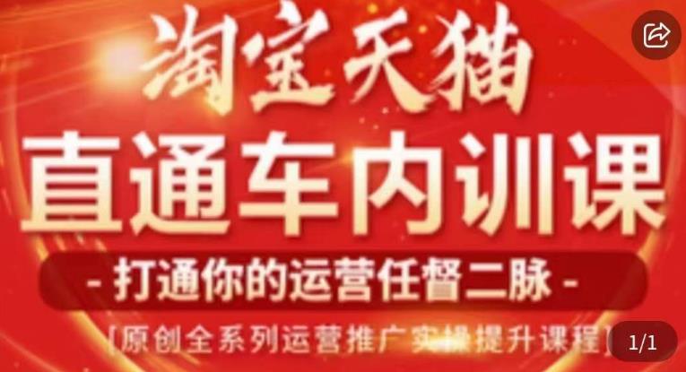 天问电商·2023淘宝天猫直通车内训课，零基础学起直通车运营实操课程-副业宝典