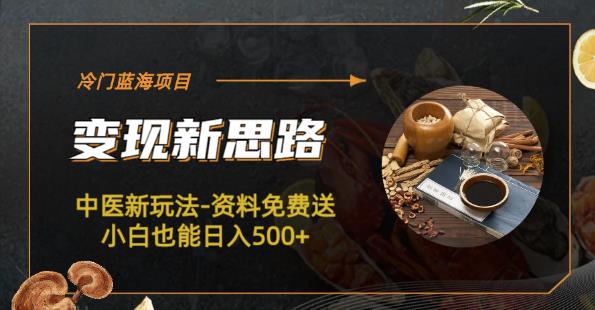冷门蓝海项目-中医新玩法-资料免费送小白也能日入500+【揭秘】-副业宝典