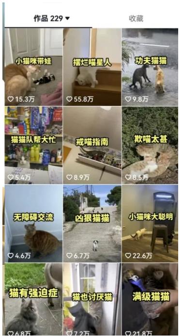 图片[3]-拆解抖音盘点类中视频变现副业项目，视频版一条龙大解析分享给你【视频课程】-副业宝典
