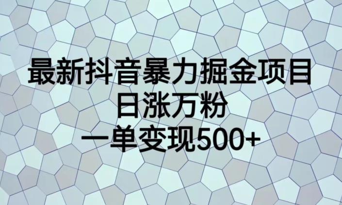 最新抖音暴力掘金项目，日涨万粉，一单变现500+【揭秘】-副业宝典