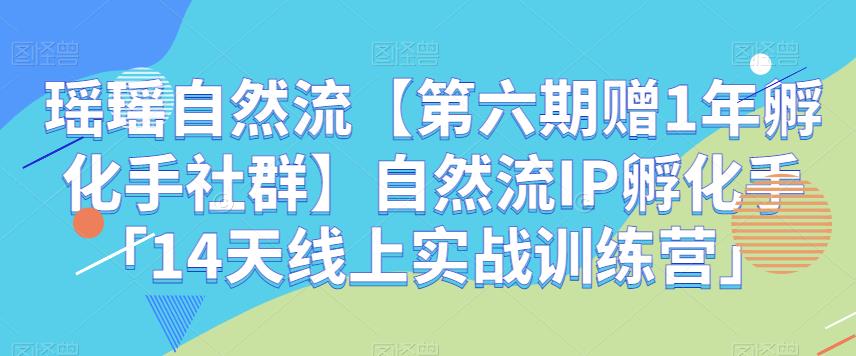 瑶瑶自然流【第六期赠1年孵化手社群】自然流IP孵化手「14天线上实战训练营」-副业宝典