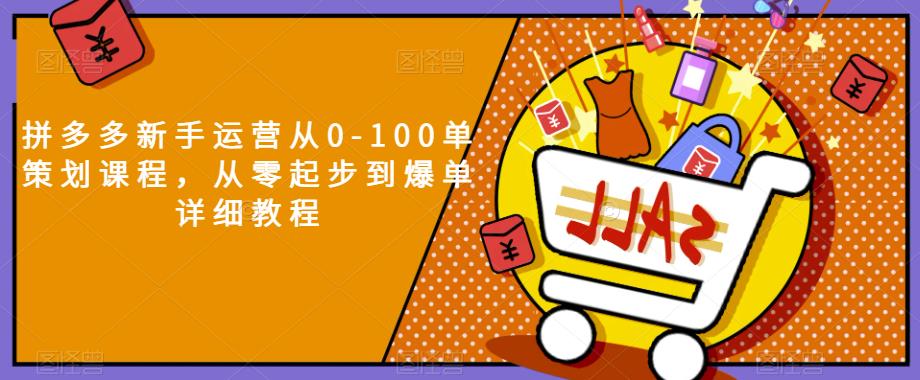 拼多多新手运营从0-100单策划课程，从零起步到爆单详细教程-副业宝典
