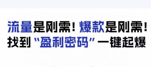 电商盈利精品课：6大盈利密码让产品更好卖，流量是刚需！爆款是刚需！找到”盈利密码”一键起爆-副业宝典