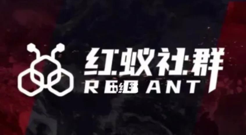 社群运营：红蚁社群【48节落地系统课程+2000人高端社群】-副业宝典