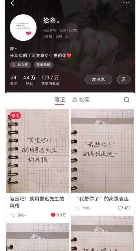 图片[2]-AI批量制造小红书爆款笔记+小红书无货源，玩法一条龙实操，小白也能轻松日入500+【揭秘】-副业宝典
