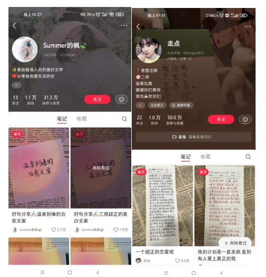 图片[3]-AI批量制造小红书爆款笔记+小红书无货源，玩法一条龙实操，小白也能轻松日入500+【揭秘】-副业宝典