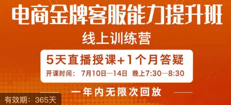 电商金牌客服能力提升班，提升客服能力是你店铺业绩的关键要素-副业宝典