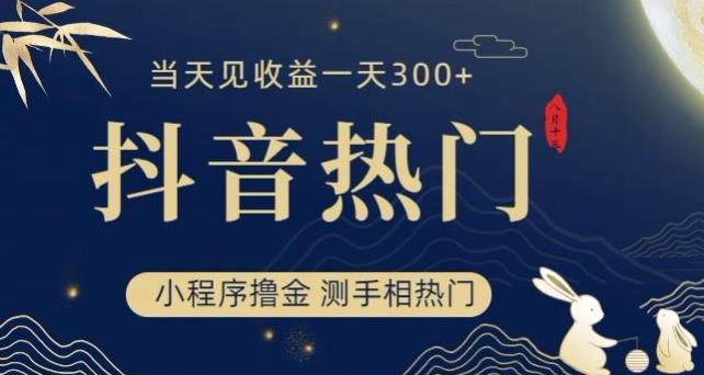 抖音最新小程序撸金，测手相上热门，当天见收益一小时变现300+【揭秘】-副业宝典
