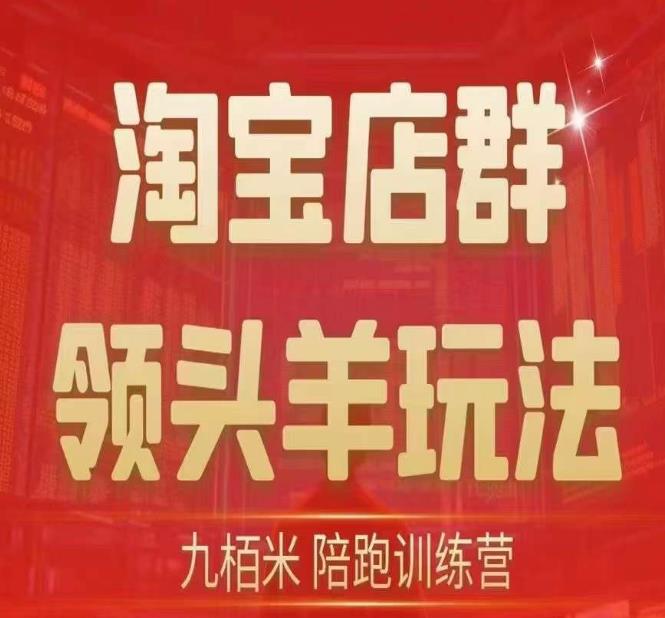 九栢米-淘宝店群领头羊玩法，教你整个淘宝店群领头羊玩法以及精细化/终极蓝海/尾销等内容-副业宝典