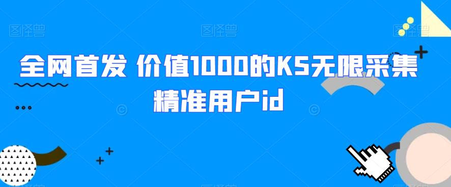 全网首发 价值1000的KS无限采集精准用户id-副业宝典