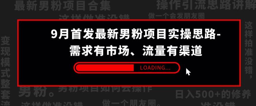 9月首发最新男粉项目实操思路-需求有市场，流量有渠道【揭秘】-副业宝典