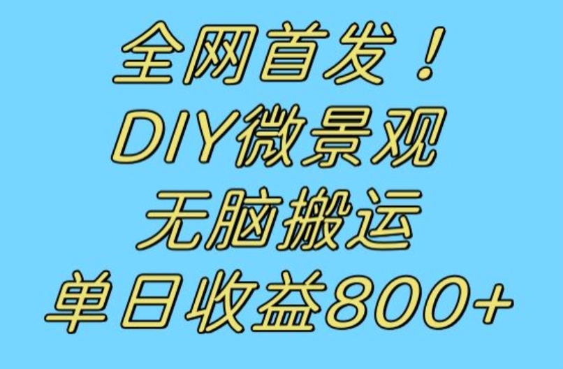 全网首发冷门赛道！DIY微景观，无脑搬运视频，日收益800+【揭秘】-副业宝典