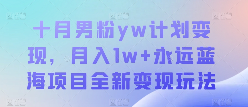 十月男粉yw计划变现，月入1w+永远蓝海项目全新变现玩法【揭秘】-副业宝典