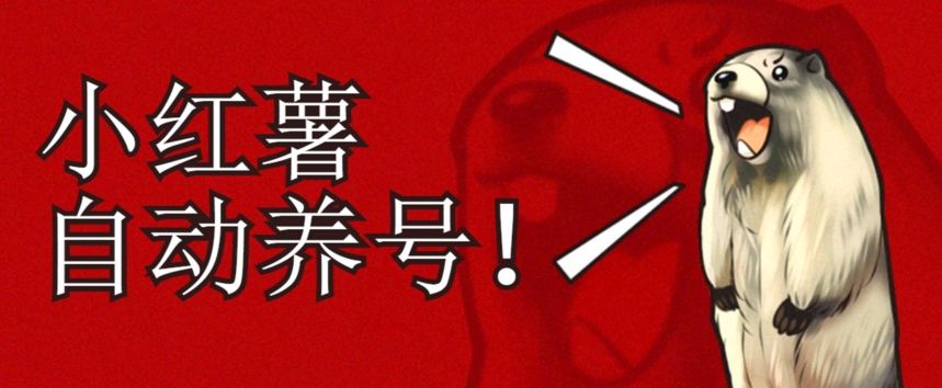 小红书养号秘籍，如何自动涨粉清晰系统标签打造高权重账号【揭秘】-副业宝典