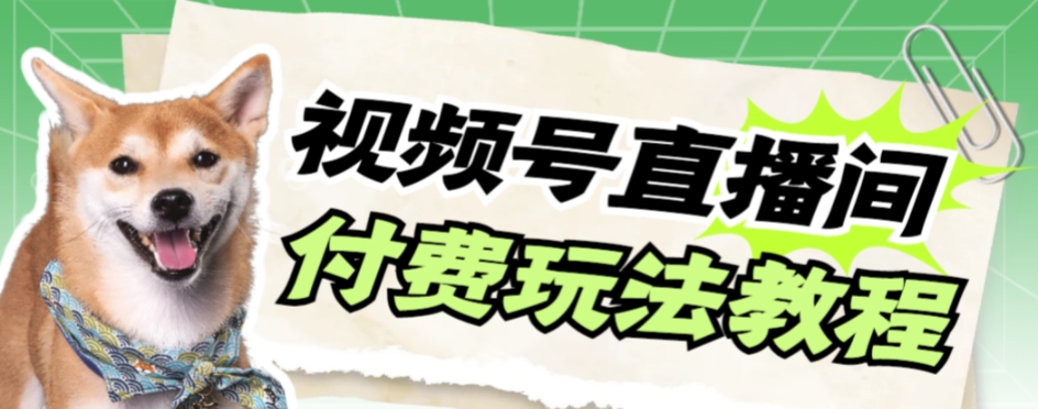 视频号美女付费无人直播，轻松日入500+【详细玩法教程】-副业宝典