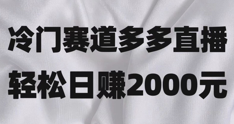 冷门赛道拼多多直播，简单念稿子，日收益2000＋【揭秘】-副业宝典