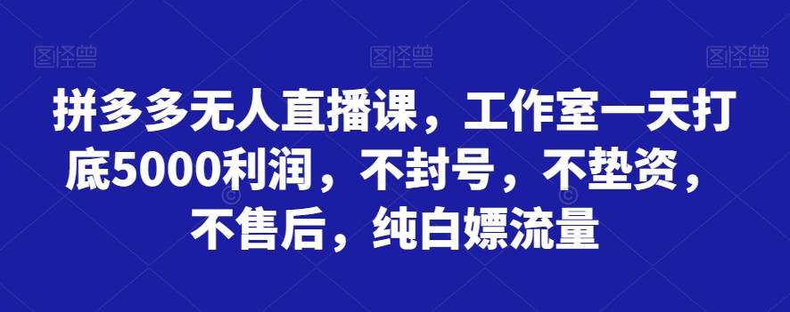 拼多多无人直播课，工作室一天打底5000利润，不封号，不垫资，不售后，纯白嫖流量-副业宝典