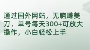 通过国外网站，无脑赚美刀，单号每天300+可放大操作，小白轻松上手【揭秘】-副业宝典