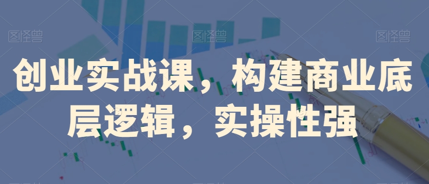 创业实战课，​构建商业底层逻辑，实操性强-副业宝典