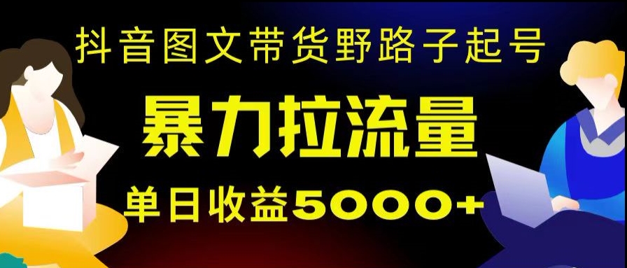 抖音图文带货暴力起号，单日收益5000+，野路子玩法，简单易上手，一部手机即可【揭秘】-副业宝典