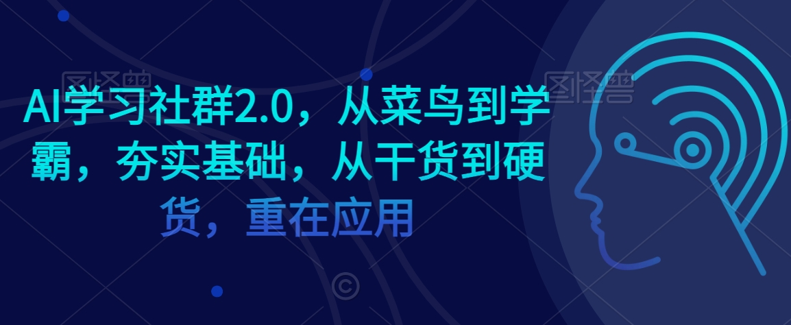 AI学习社群2.0，从菜鸟到学霸，夯实基础，从干货到硬货，重在应用-副业宝典