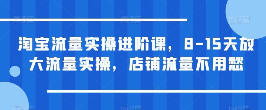 淘宝流量实操进阶课，8-15天放大流量实操，店铺流量不用愁-副业宝典