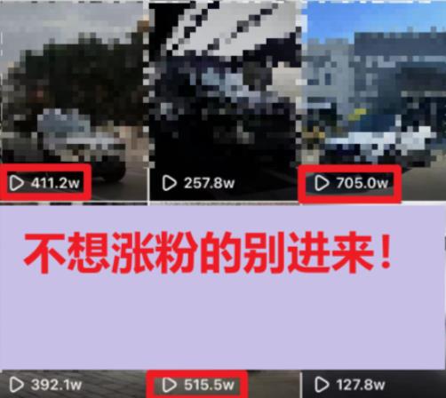 图片[2]-一分钟700W播放进来学完你也能做到保姆式教学暴力变现（教程+83G素材）【揭秘】-副业宝典