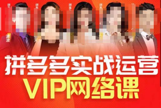 推易拼多多VIP全套直播课程，拼多多店铺实操玩法+实战玩法选款内功+直通车高阶等-副业宝典