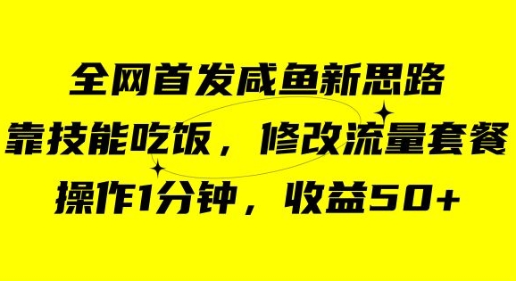 咸鱼冷门新玩法，靠“技能吃饭”，修改流量套餐，操作1分钟，收益50【揭秘】-副业宝典