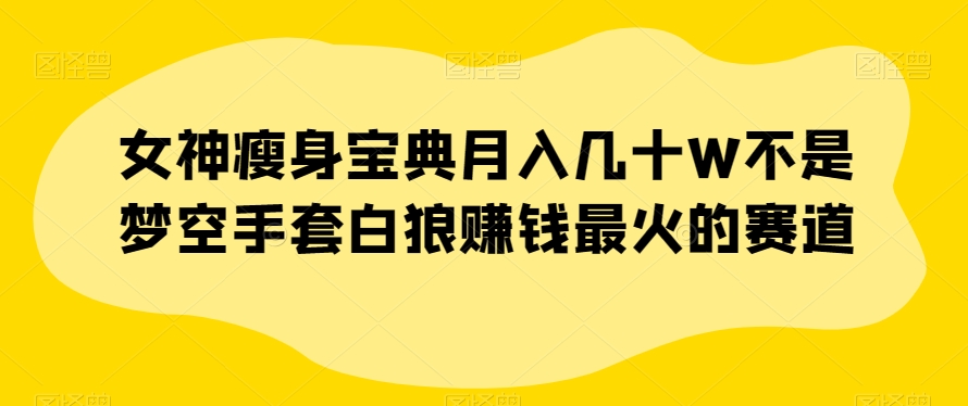 女神瘦身宝典月入几十W不是梦空手套白狼赚钱最火的赛道【揭秘】-副业宝典